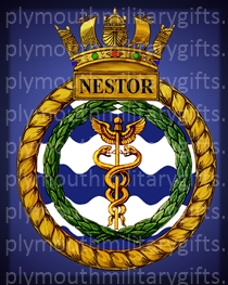 HMS Nestor Magnet